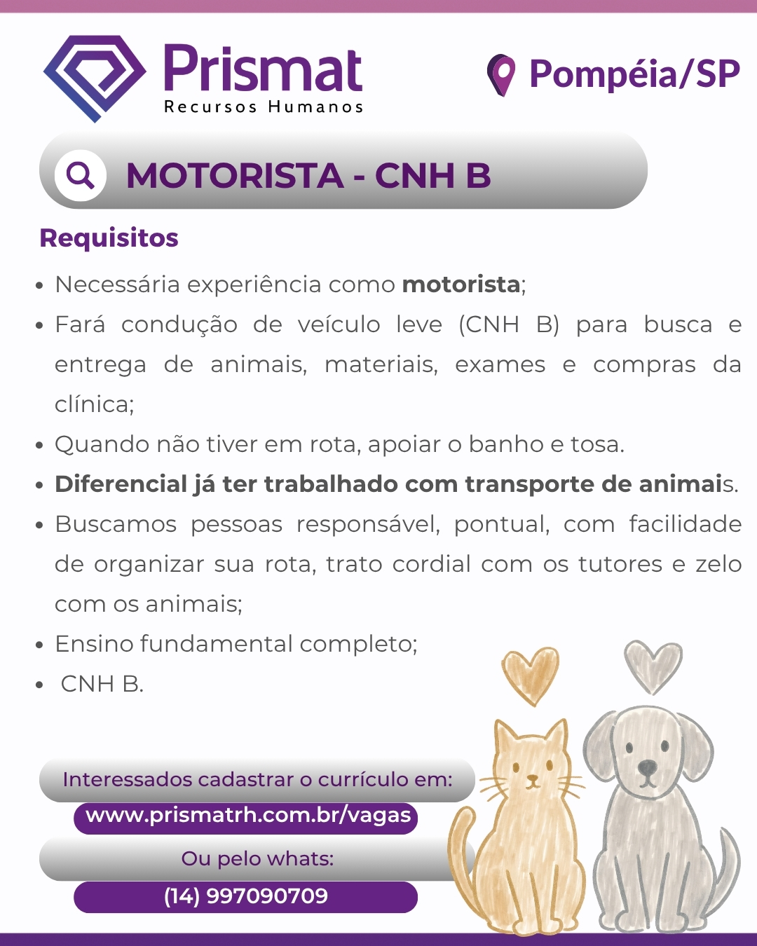 motorista-cnh-b---pet-shop